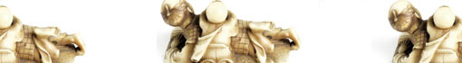 Topic section: Traditional Chinese Medicine Topic section: Traditional Chinese Medicine